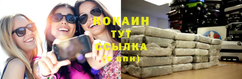 купить  цена  Кашин  Cocaine 99% 